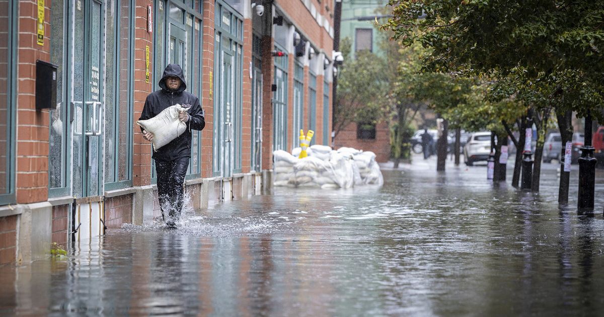 Surviving future disaster depends on how we plan and build today | The ...