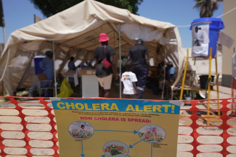 Causes Of Cholera In Zimbabwe