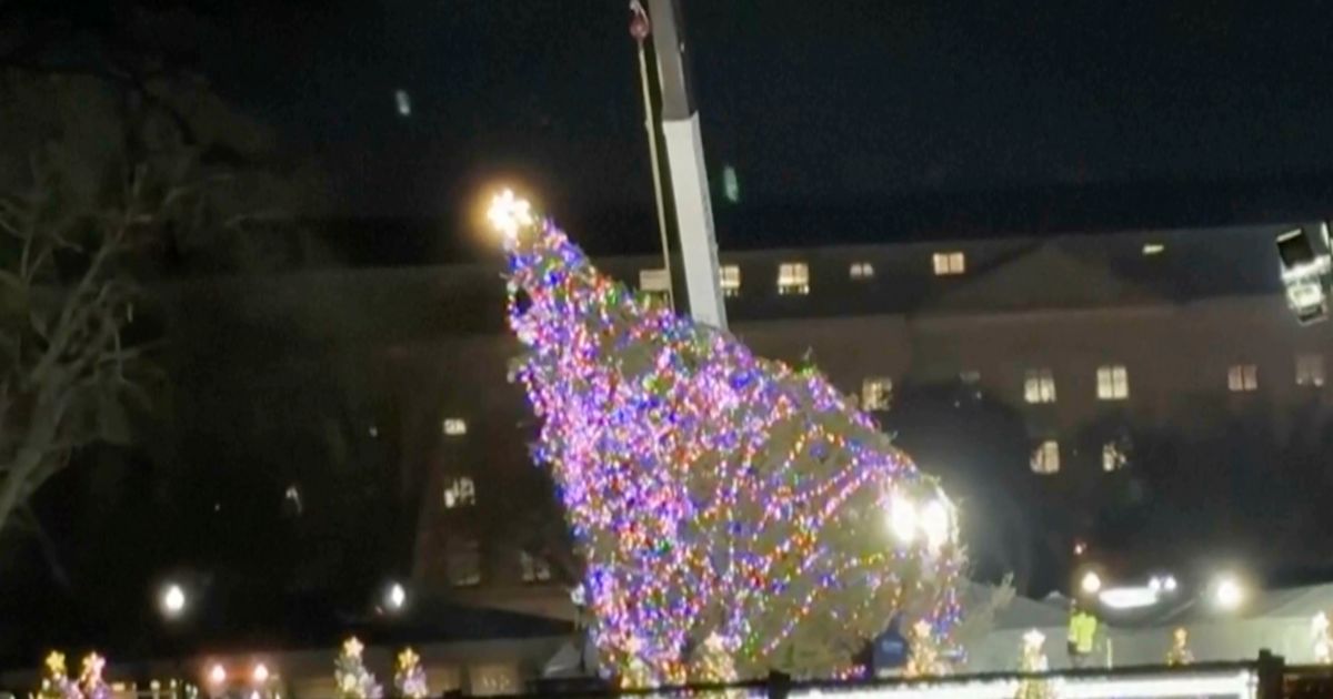 Toppled White House Christmas tree is secured upright, and lighting ...