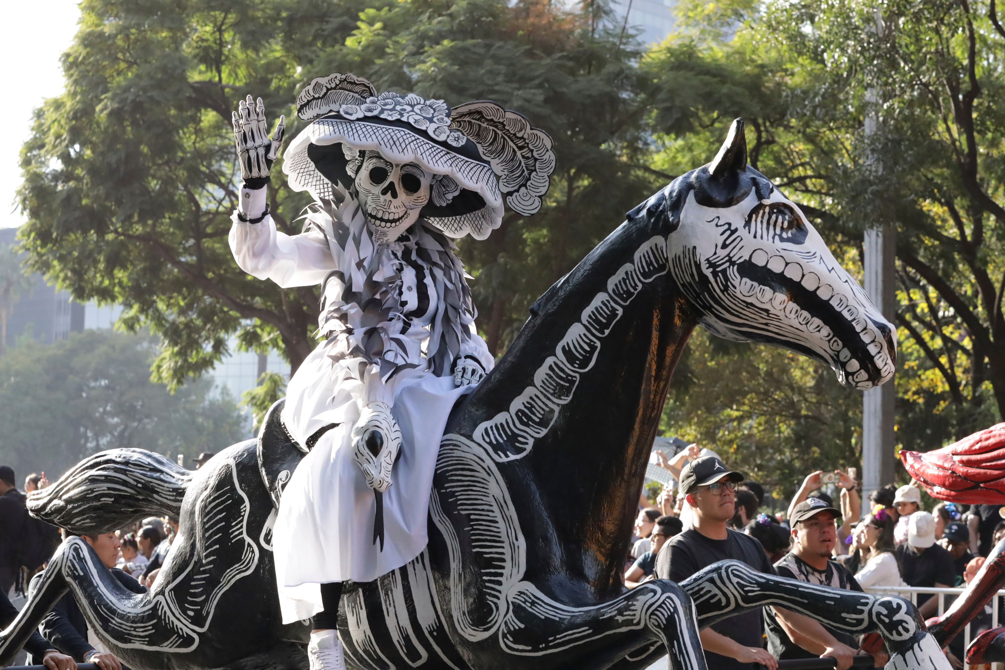 Skeleton Marching Bands And Dancers In Butterfly Skirts Join In Mexico ...