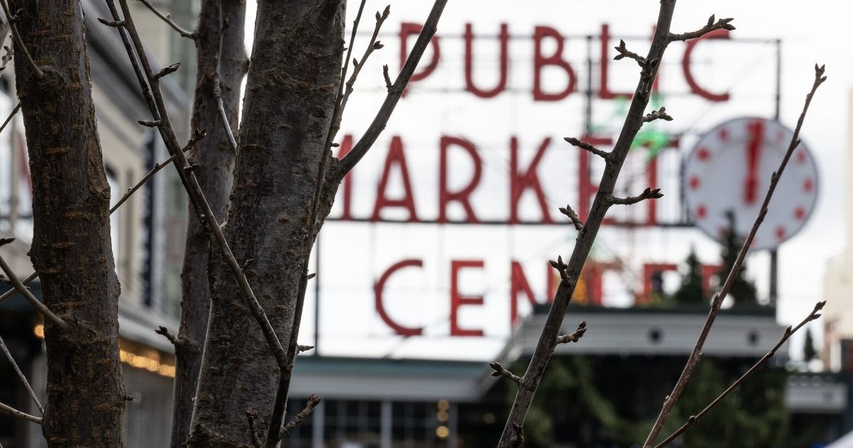 西雅图派克市场种植了8棵全新的樱花树