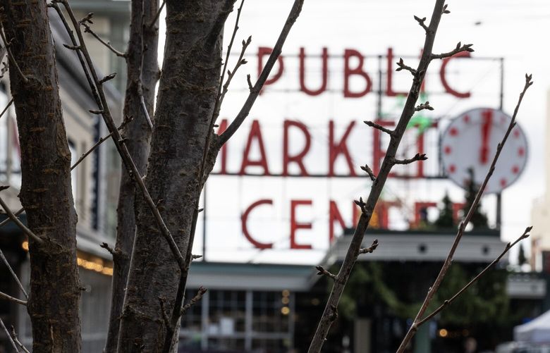 A cherry tree Friday, Dec. 1, 2023, at Pikes Place Market in Seattle.