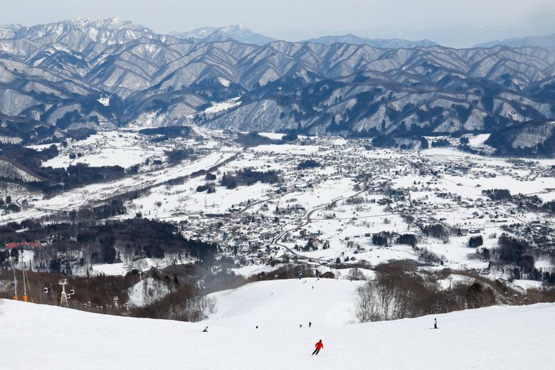 Skiers and snowboarders carve their way down a wide-open run as they near the bottom of the Happo-One Snow Resort Feb. 7, 2023, in Hakuba, Japan. (Jennifer Buchanan / The Seattle Times)