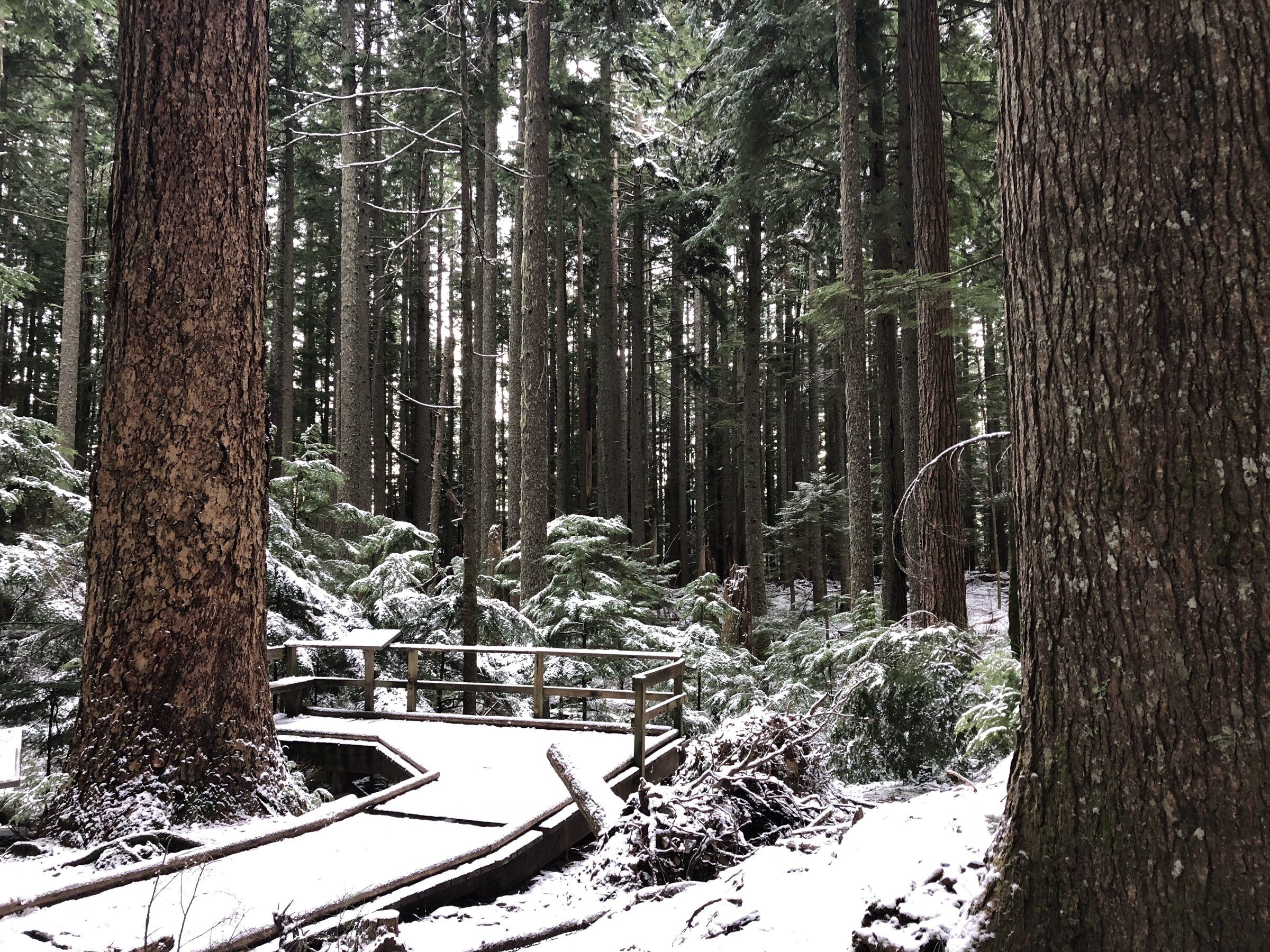 Pacific trail clearance snow boots