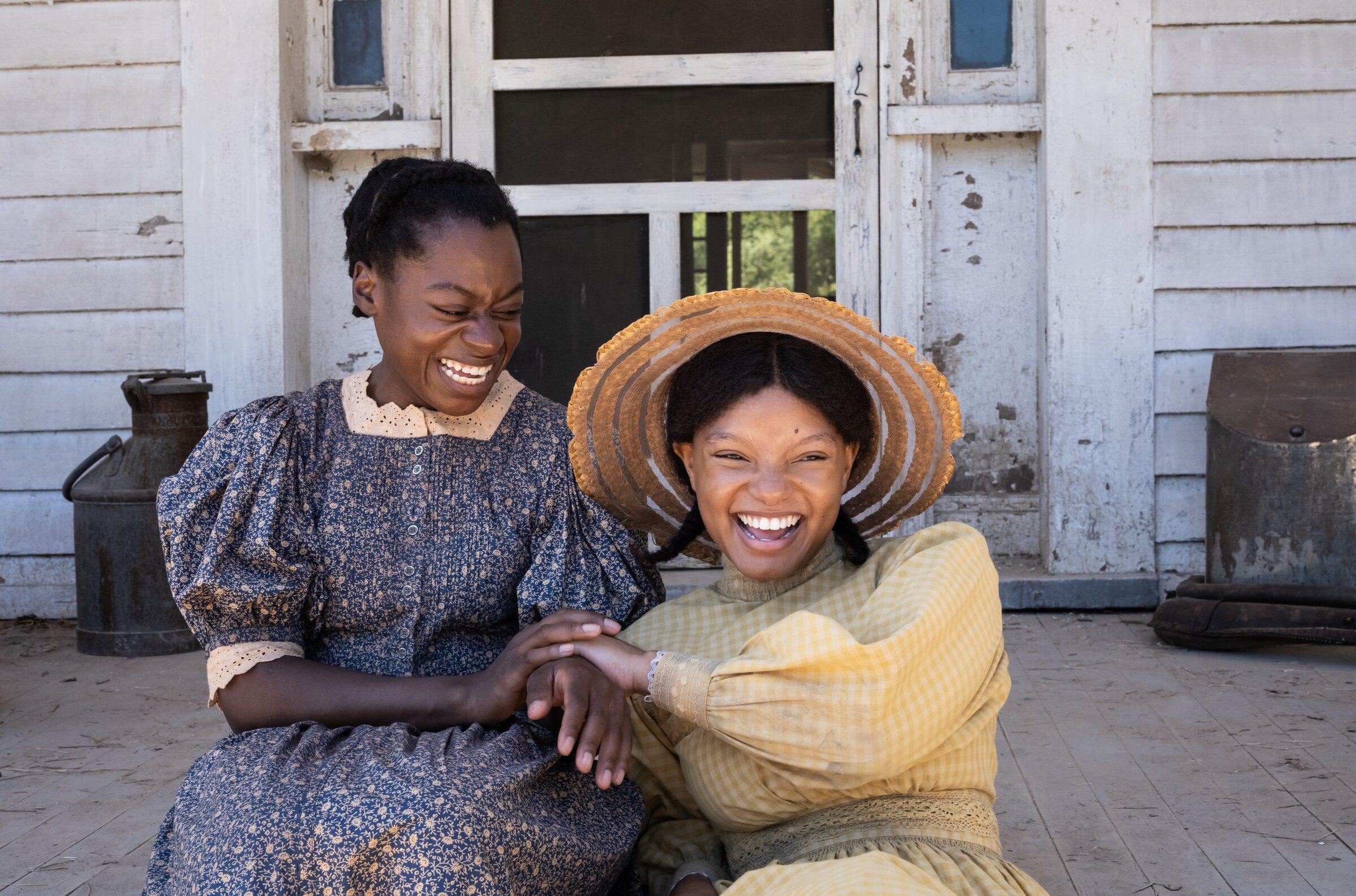 希少　The Color Purple by Alice Walker The Color Purple (Pulitzer Prize Winner) by Alice Walker