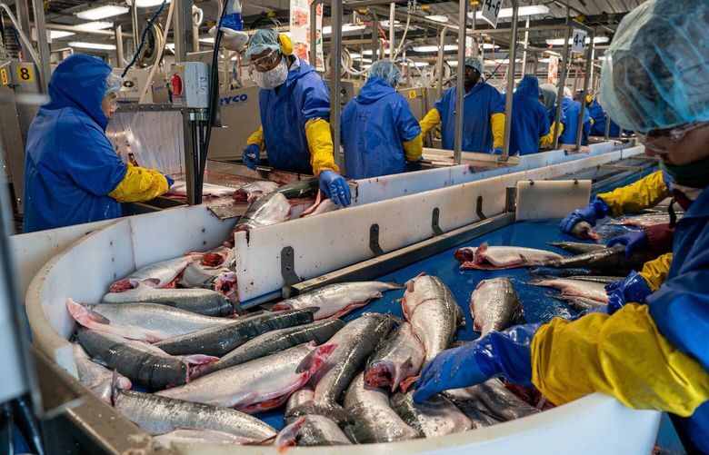 Alex DeMarban The Seattle Times