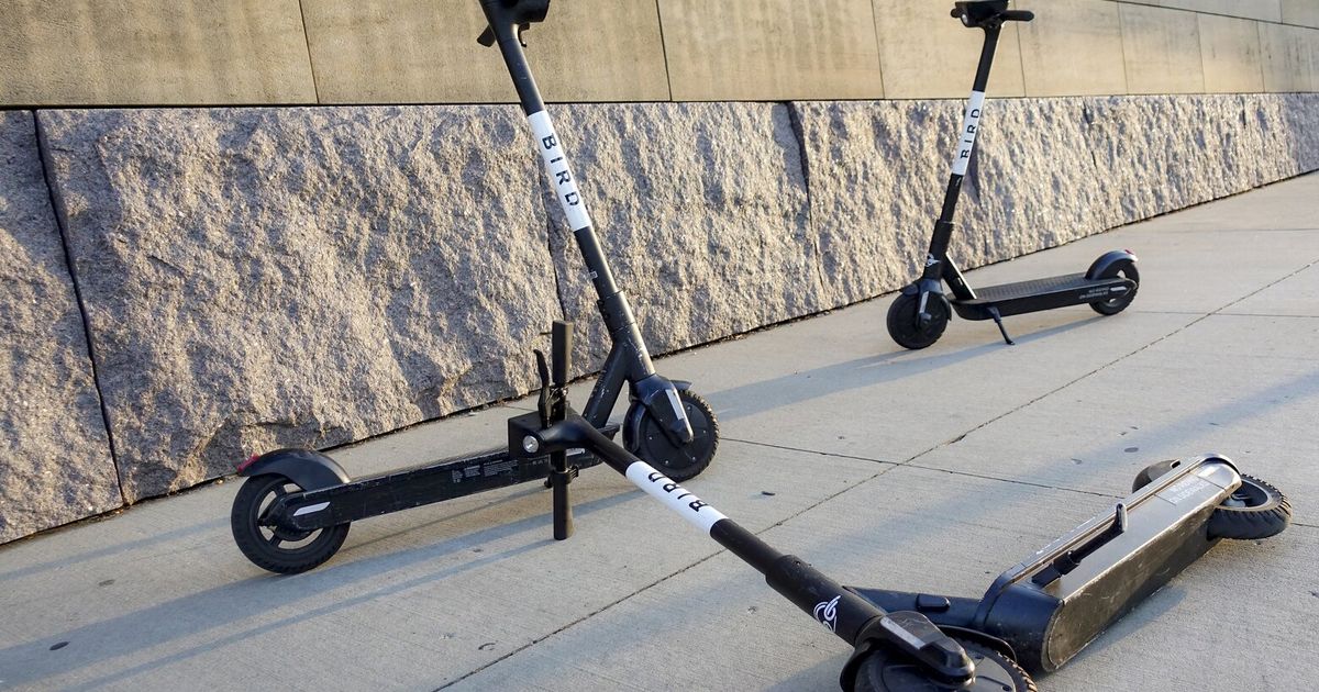 Electric scooter Bird Global steers into bankruptcy protection in bid