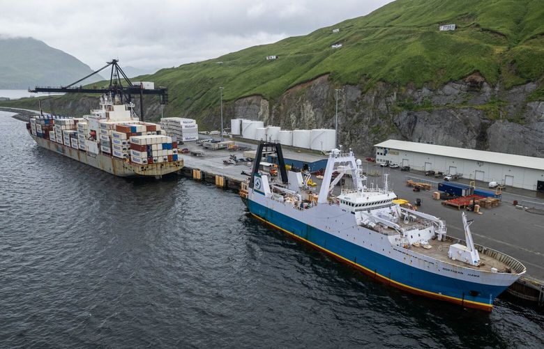The Northern Hawk factory trawler is docked in Dutch Harbor as it offloads processed Alaska Pollock on Friday, Aug. 4, 2023. At left is the Matson Tacoma container ship. (Loren Holmes / ADN)