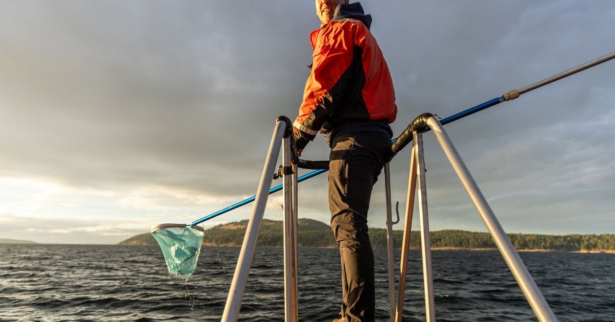 These vets make house calls for orcas The Seattle Times