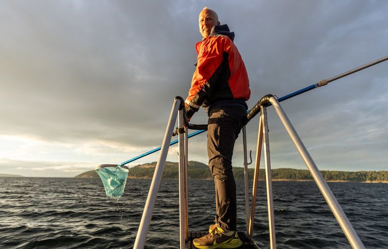 – EMBARGO: NO ELECTRONIC DISTRIBUTION, WEB POSTING, OR STREET SALES BEFORE 3:01 A.M. ET ON TUESDAY, DEC. 26, 2023. NO EXCEPTIONS FOR ANY REASONS –  Dr. Joe Gaydos, the science director of the SeaDoc Society, collects fish scales from the remains of a Southern Resident killer whale’s snack near San Juan Island in Washington state on Sept. 17, 2023. With drones and infrared cameras, intrepid veterinarians are monitoring the health of wild orcas in the Pacific Northwest. (Louise Johns/The New York Times) XNYT0845 XNYT0845
