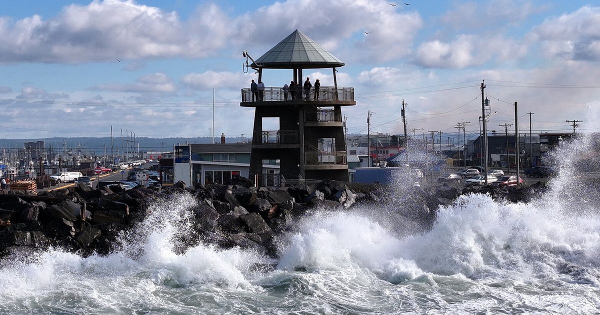 Tsunami seattle today