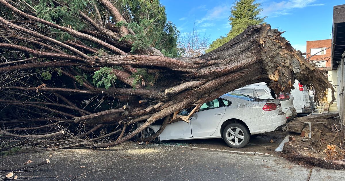 西雅图地区数千人因刮风和降雨天气而断电