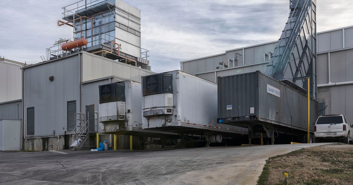 US agency concludes chemical leak that killed 6 poultry workers