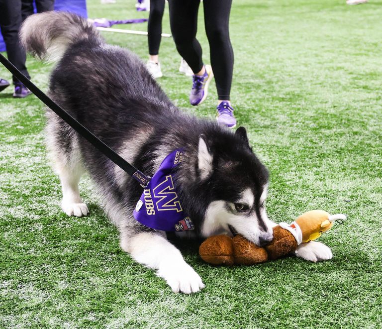 01032024_2_131641.jpg?d=768x661