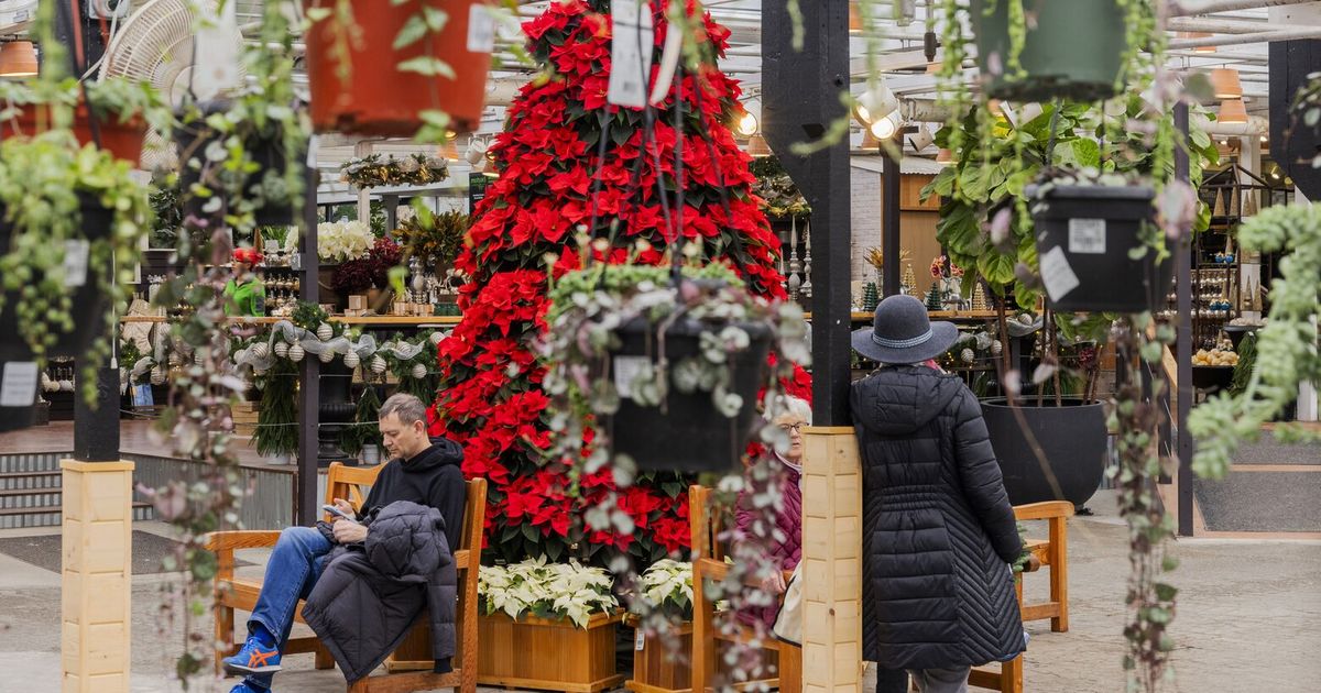 When Molbak’s will close after nearly 70 years in Woodinville