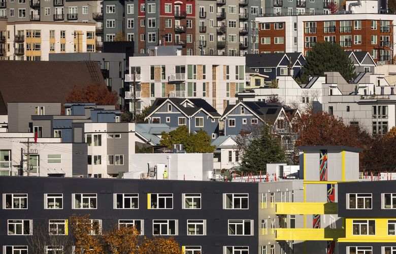 A mix of apartments and single family homes are seen in the Central District,
viewed from Beacon Hill, Wednesday, Nov. 8, 2023 in Seattle.