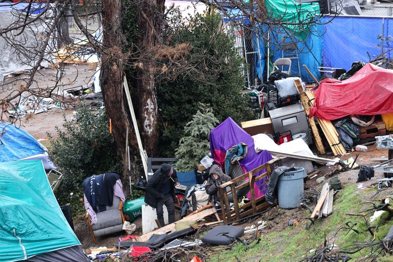 An encampment sits on a grassy area near Interstate 5 in the University District. Since Mayor Bruce Harrell entered office in 2022, the city has largely returned to its pre-pandemic practices of clearing homeless encampments. (Karen Ducey / The Seattle Times)