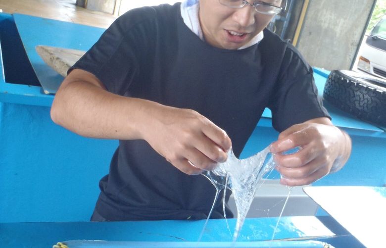 In an image provided by researchers, Fumiaki Sugahara handles hagfish, or slime eels, known for producing copious mucus and the subject of a new study published in the journal Nature Ecology & Evolution. Researchers found that the the deep-sea scavenger tripled the size of its genome hundreds of millions of years ago. (Pascual-Anaya et al., Nature 2024 via The New York Times) — NO SALES; FOR EDITORIAL USE ONLY WITH HAGFISH GENOME by GREENWOOD of JAN. 17, 2024. ALL OTHER USE PROHIBITED. —
 XNYT0559 XNYT0559