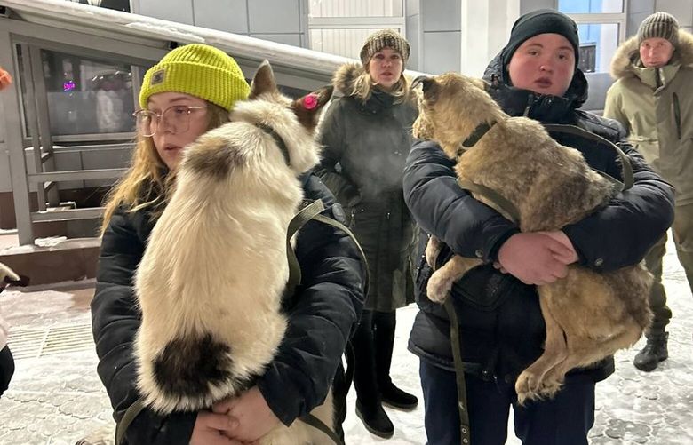 Volunteers carry dogs to trains because many of the animals are too weak or too scared to get to the cars on their own in Ulan-Ude, Russia. MUST CREDIT: Dog of Happiness