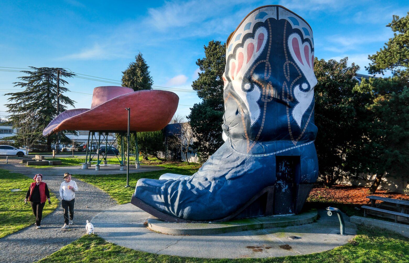 Georgetown 2025 cowboy boots