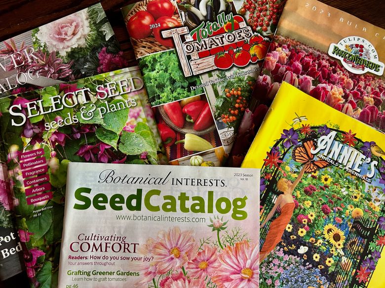 Sowing hope: The secret world of seed catalogs | The Seattle Times