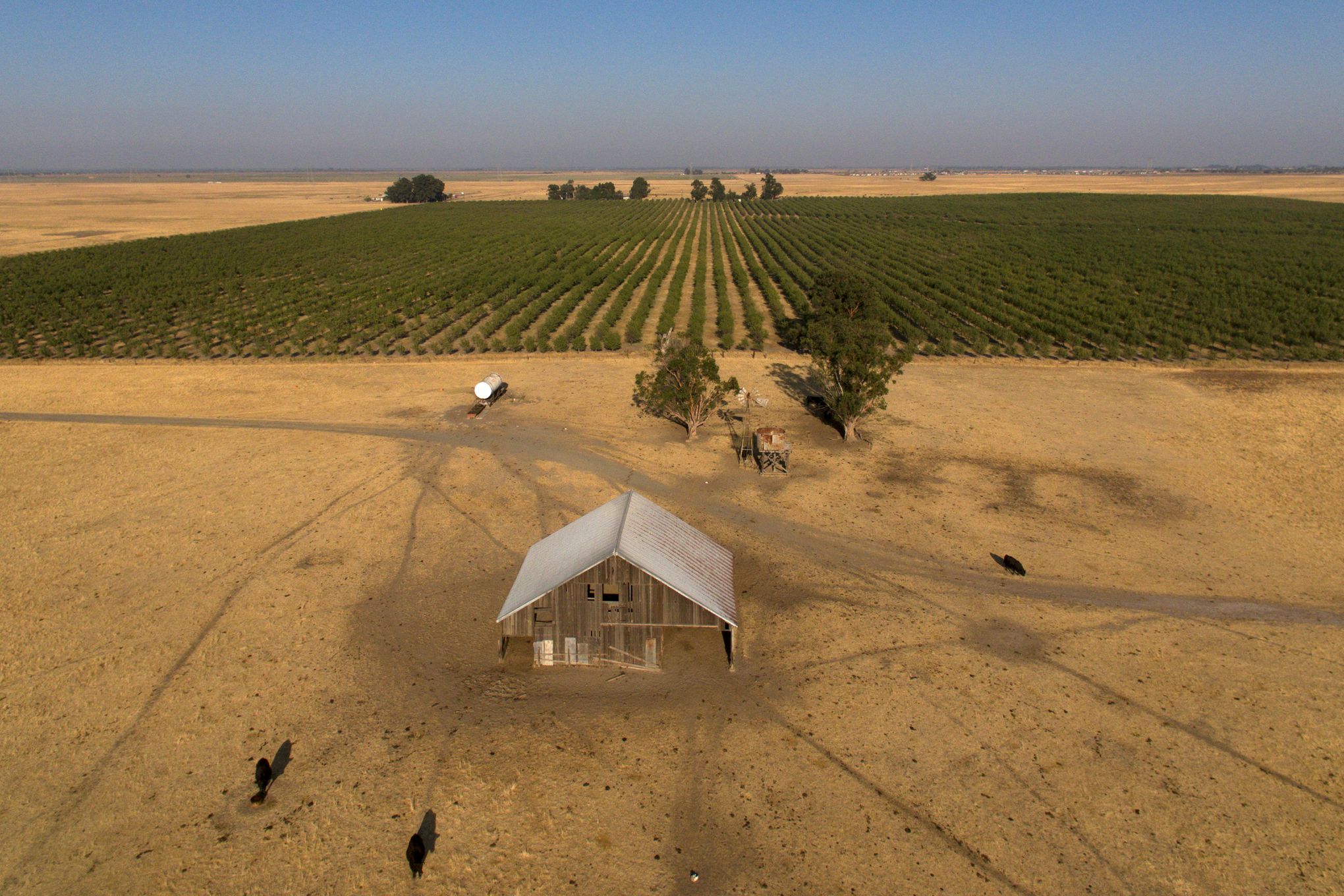 Billionaire backers of new California city seek voter approval after  stealthily snapping up farmland | The Seattle Times