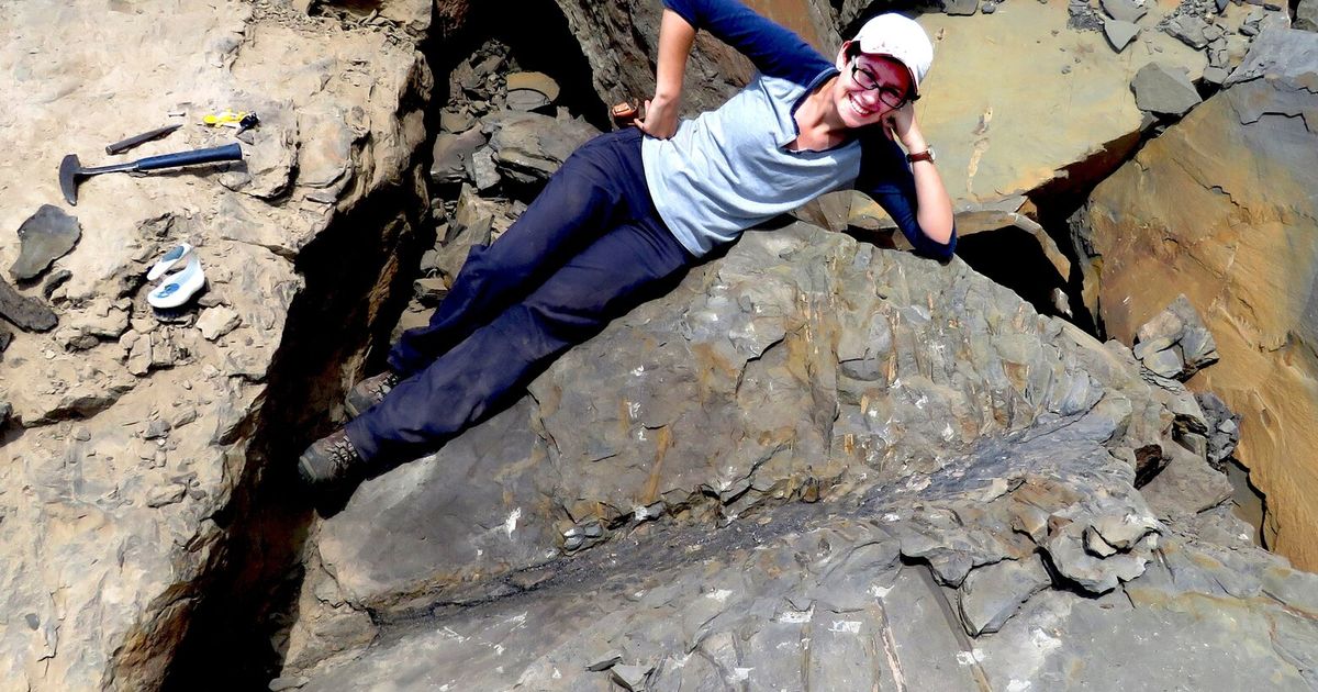 A prehistoric tree that resembles something from Dr. Seuss