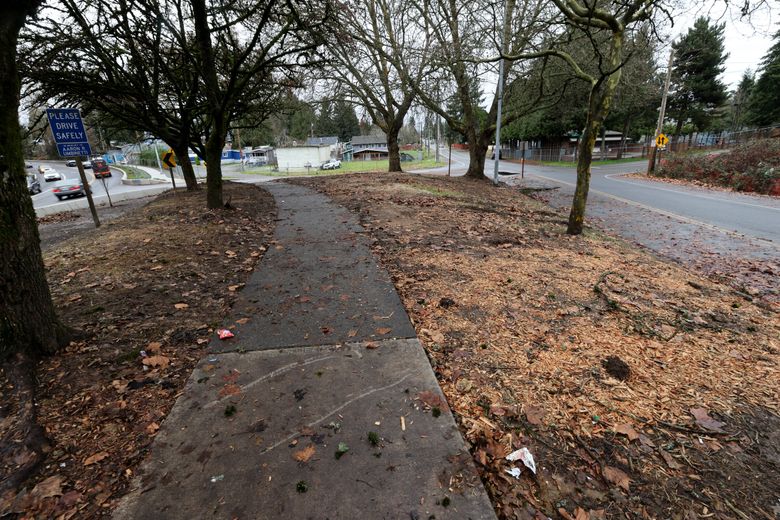 This median along Ambaum Boulevard in Burien was the site of a homeless encampment that garnered much scrutiny and heat from Burien’s City Council and housed community members. It was cleared by the city of Burien, under a new camping ordinance at the beginning of December. (Karen Ducey / The Seattle Times)