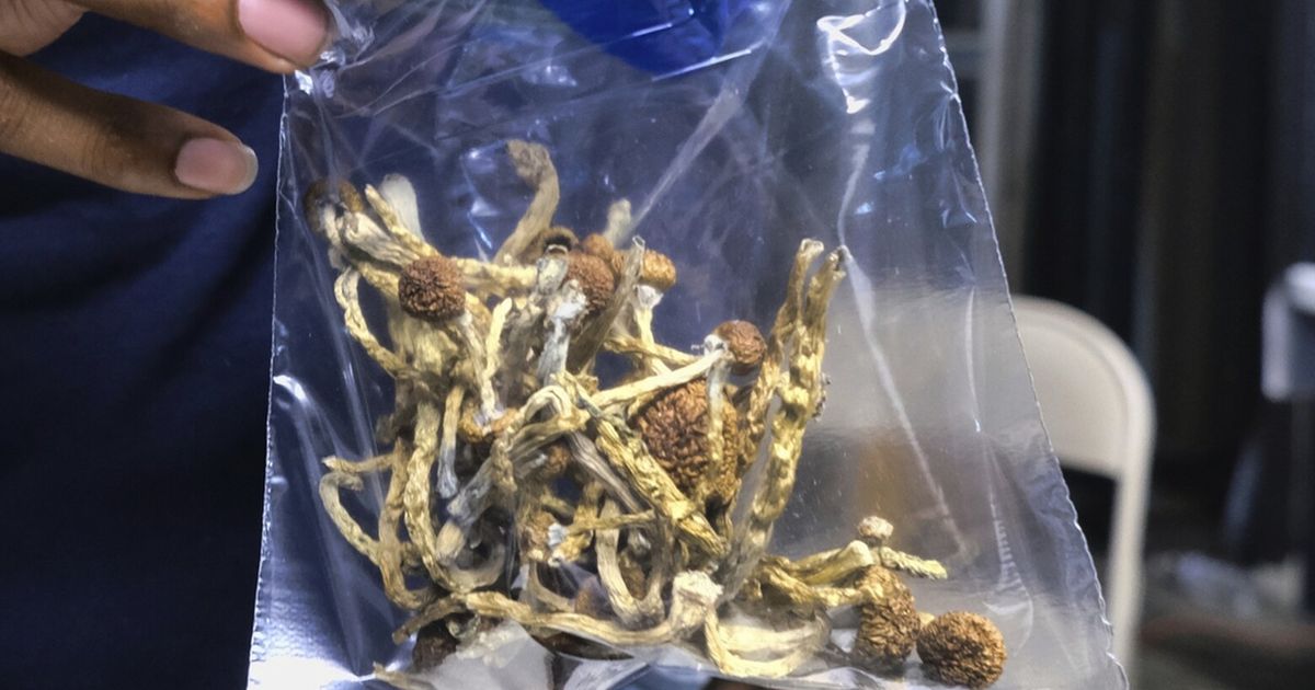 California could legalize psychedelic therapy after rejecting ‘magic mushroom’ decriminalization