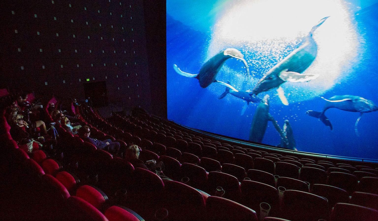 Imax Example IMAX, 3D, 4DX and other movie formats: What’s the difference | The ...
