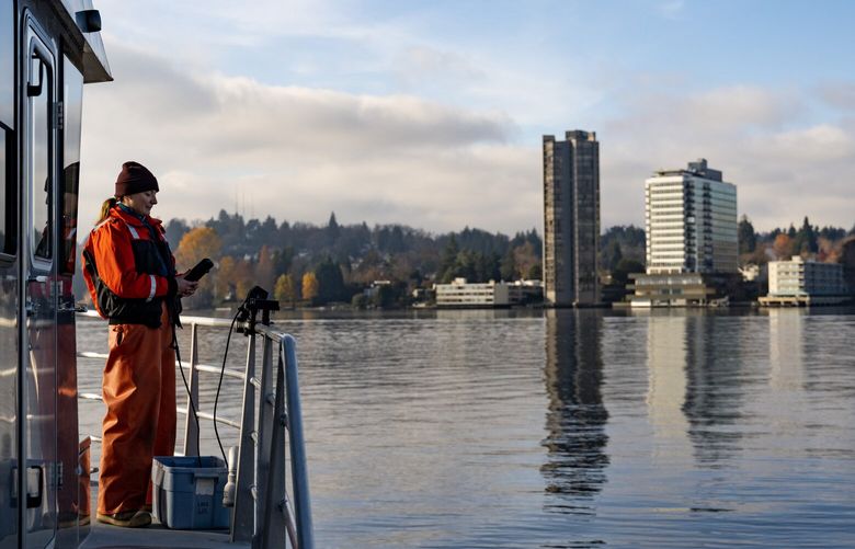 Amanda Zhou The Seattle Times