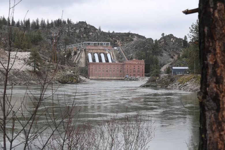 워싱턴주 강에서 물고기 ‘수천 마리’ 떼죽음...”이유는 아무도 몰라”