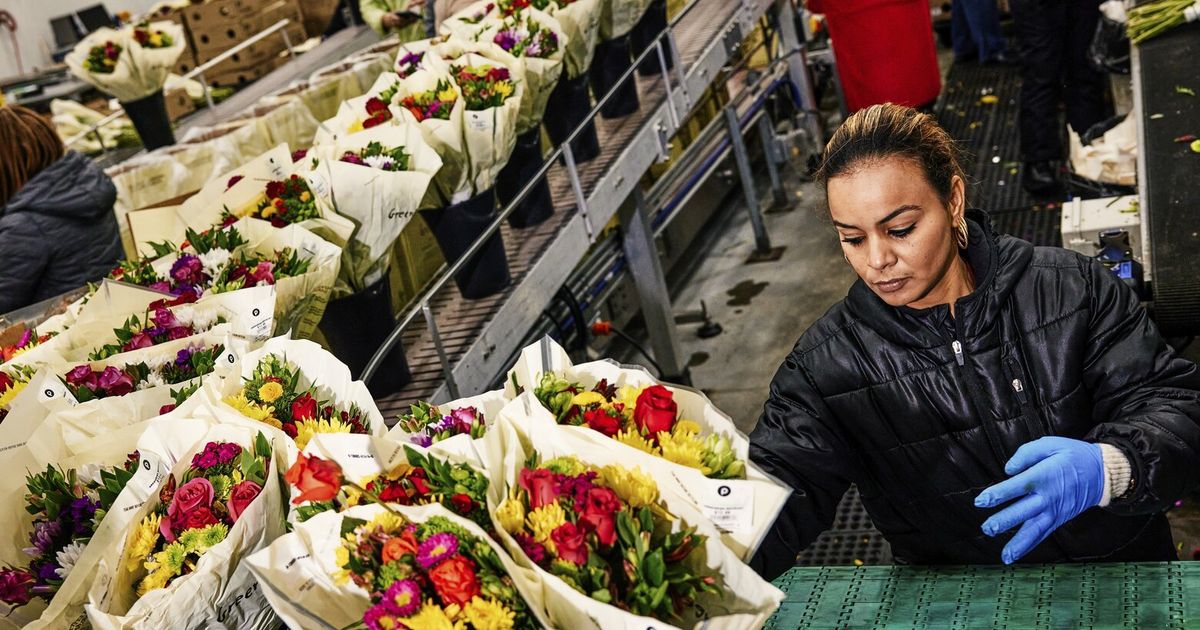 Roses are red, violets are blue, through Miami's airport yours probably flew - The Seattle Times