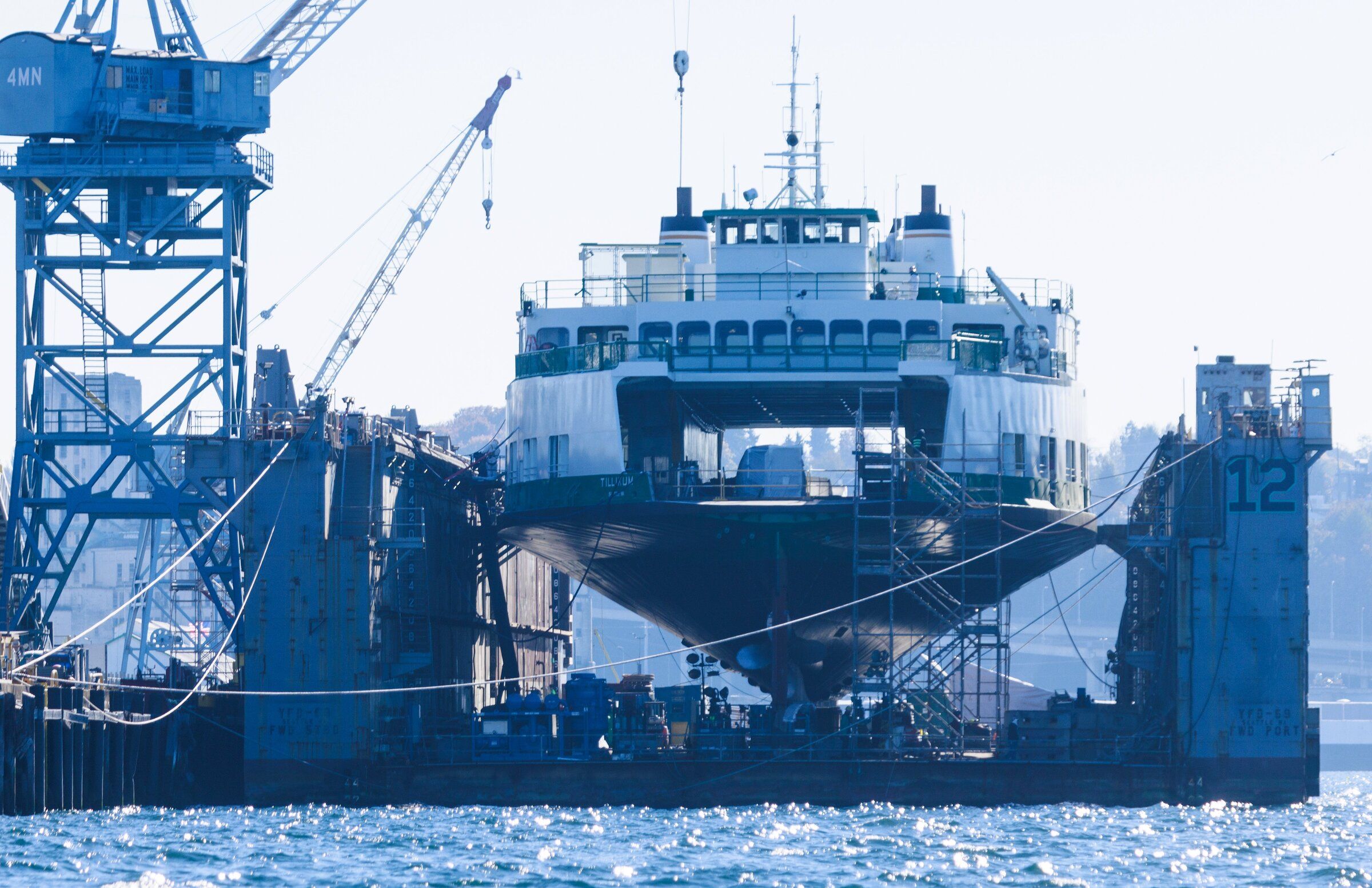 Bring riders' voices back on board to sustain WA ferries' future