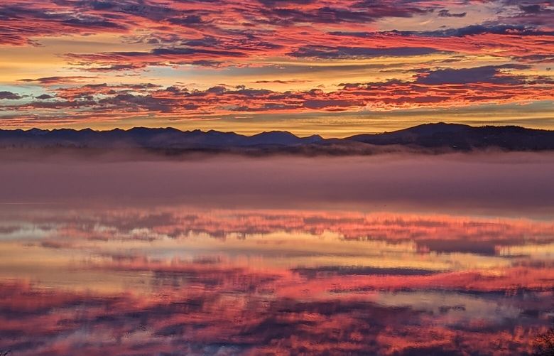 *** READER’S LENS – ONE TIME USE ONLY ***

Bart Fite
bartf@outlook.com
Seattle, WA
206 303 7236
Madrona, Seattle
2024/1/29

Taken at 7:27am, glassy lake and a fog bank across the far shore.The light was changing rapidly from cool blues to fiery reds and oranges – this was near the peak.  The Madrona Beach swimming platform seemed to float in the reflected sky.

PXL_20240129_152740341.jpg
I agree to the Readers Lens Terms and Conditions	18:05:07 16 Feb, 2024