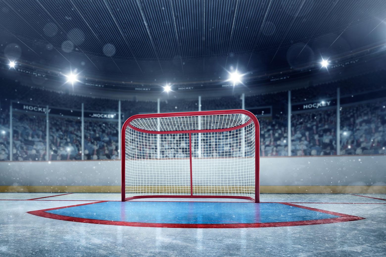 Buy Backyard Hockey-Rink Netting Online