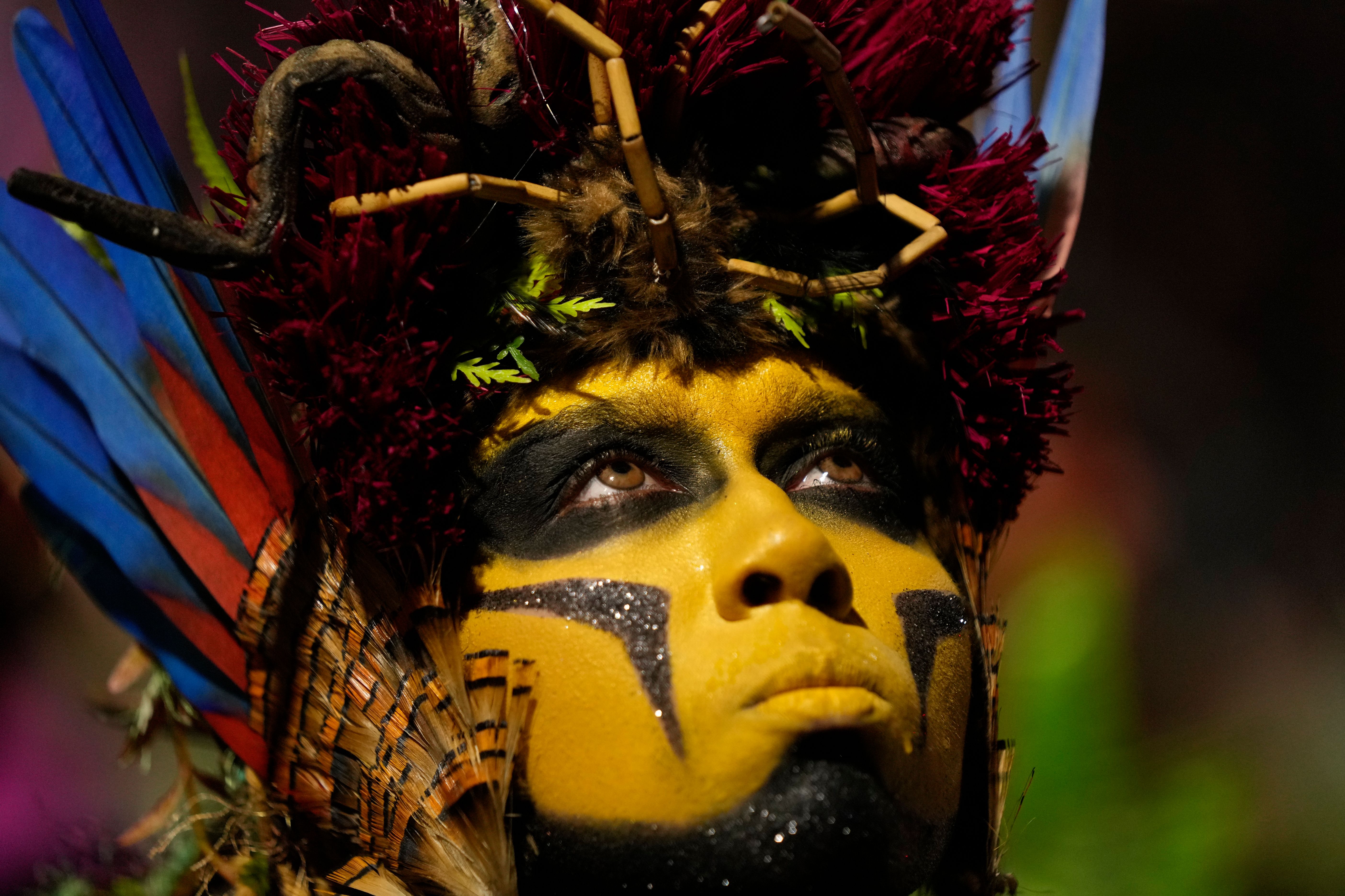 Rio's Carnival parade makes urgent plea to stop illegal mining in
