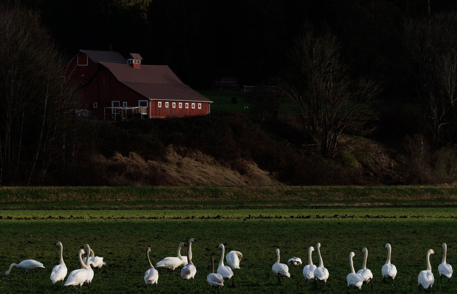 Weather The Seattle Times