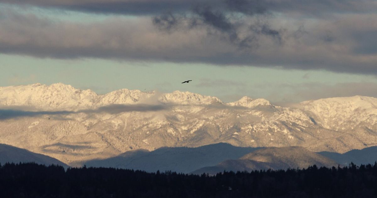 WA’s lackluster snowpack draws concerns, especially on the Olympic Peninsula