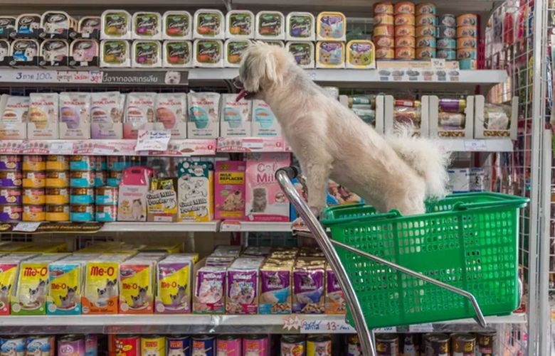 Pets The Seattle Times