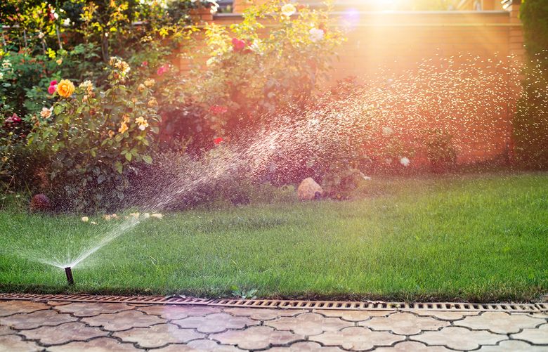 Brown spots, weedy spots, soggy areas and excessive water on the sidewalk or driveway are all signs of an irrigation system that may need attention. 