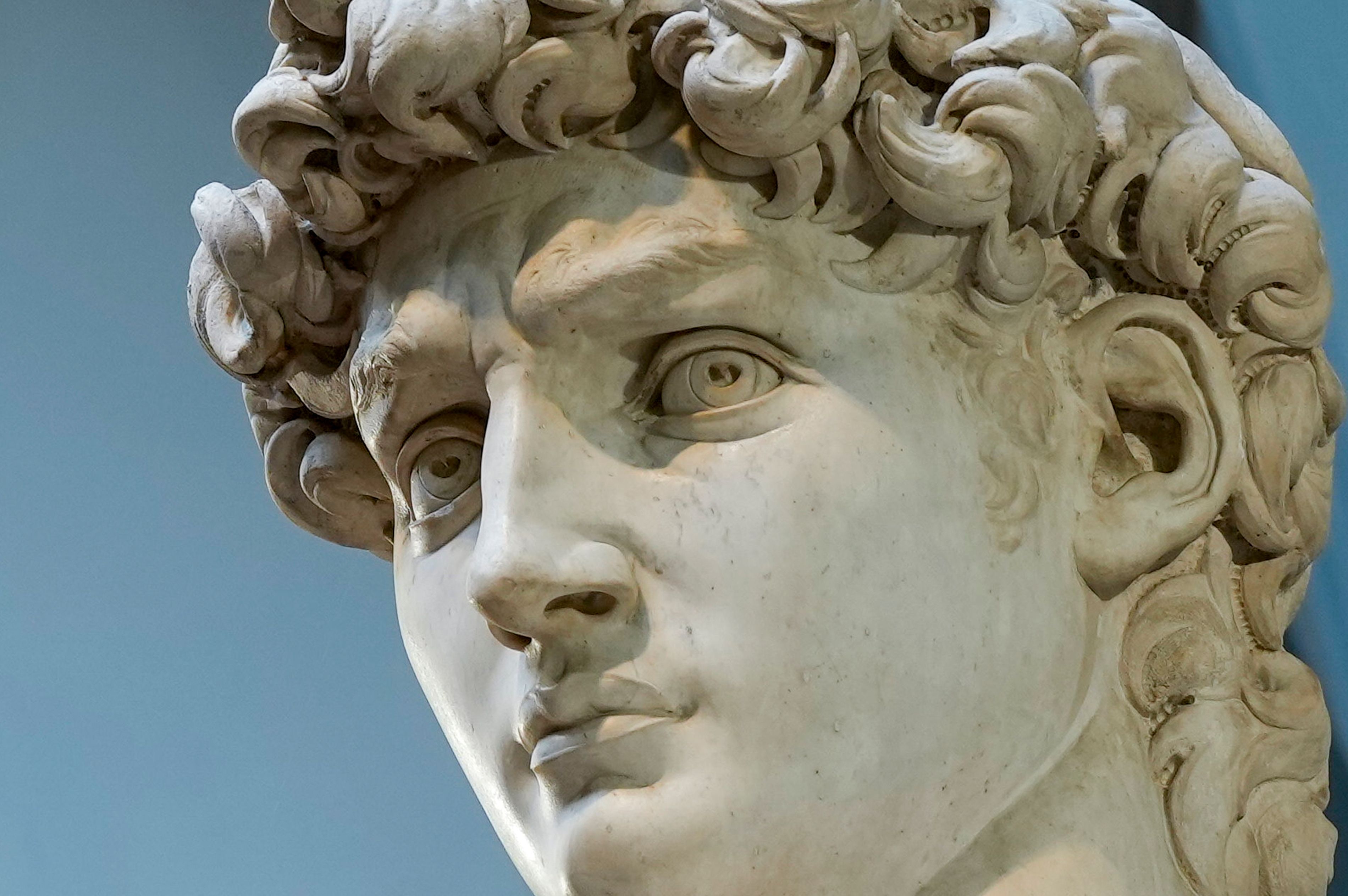 A fight to protect the dignity of Michelangelo's David raises