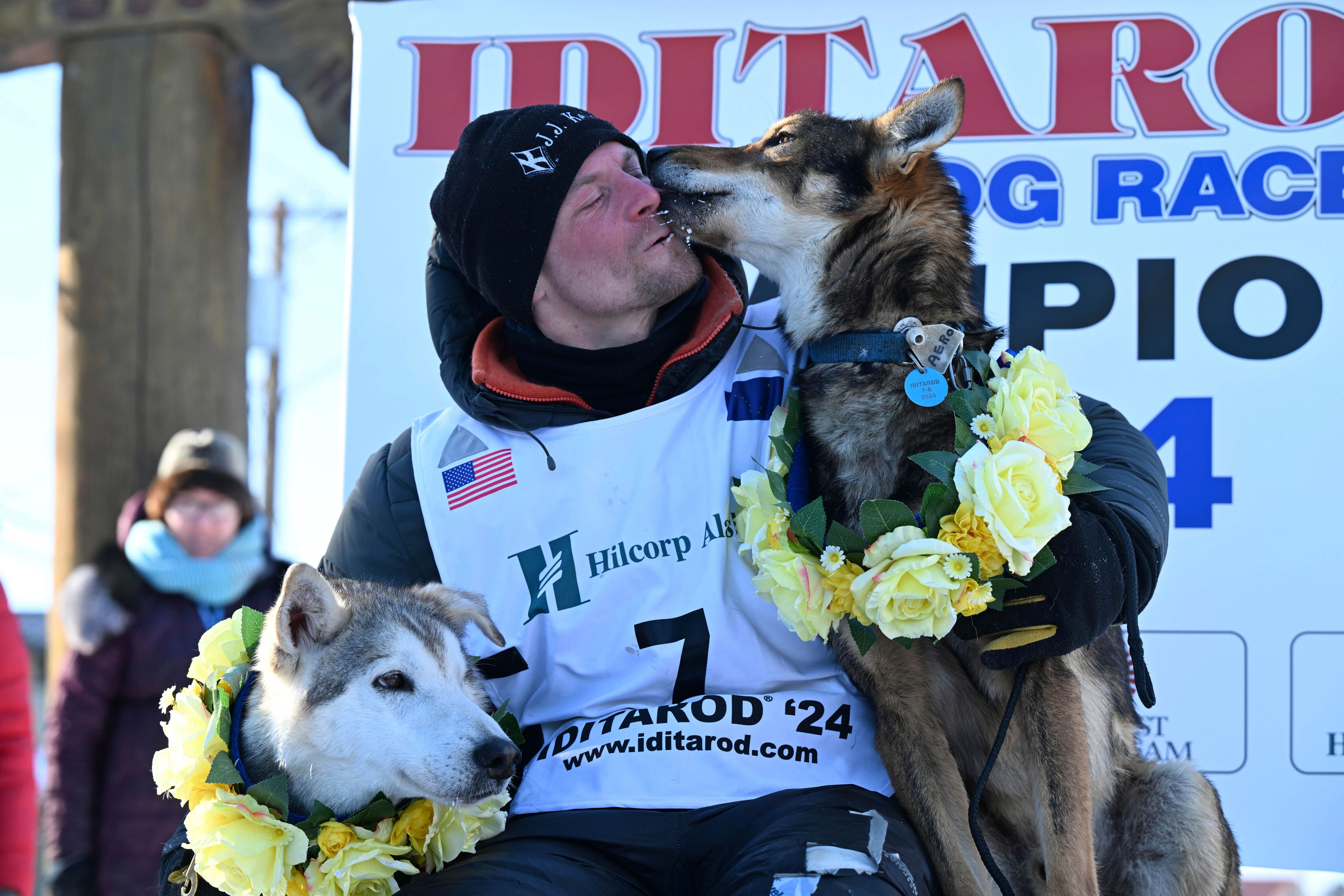 Famous best sale sled dogs