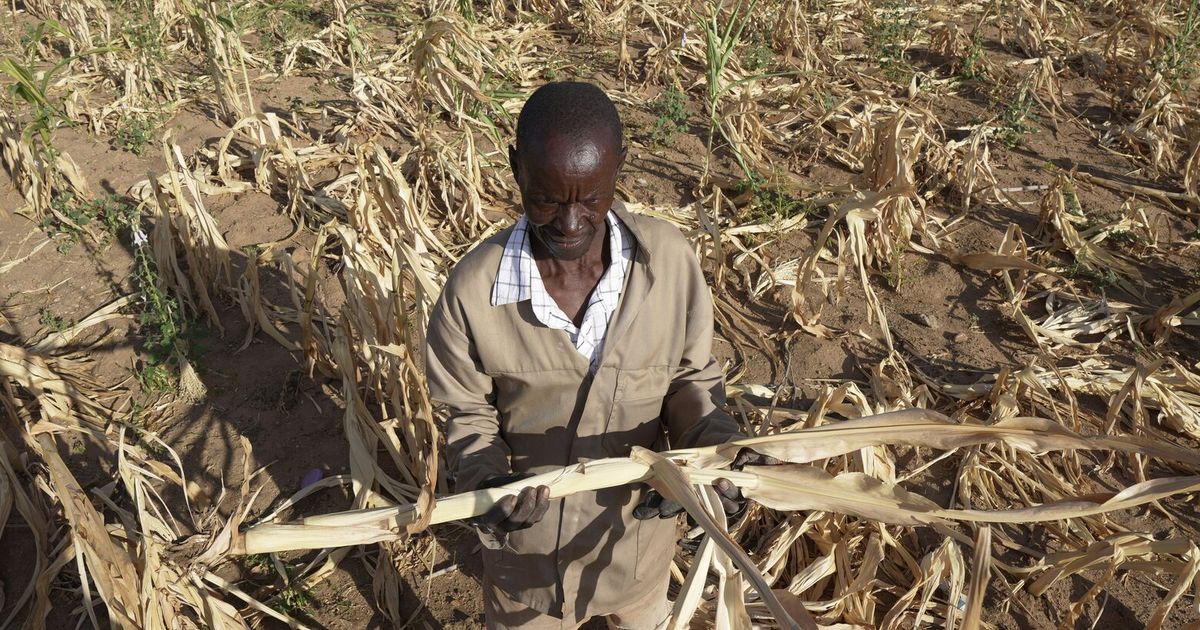Extreme drought in southern Africa leaves millions hungry
