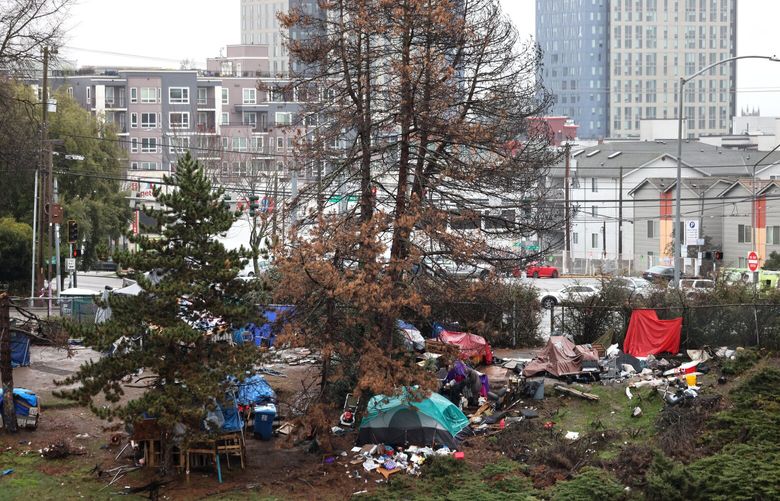 A homeless encampment is seen along I5 northbound in the University District by 45th Aveneue in Seattle on Wednesday, January 17, 2024.