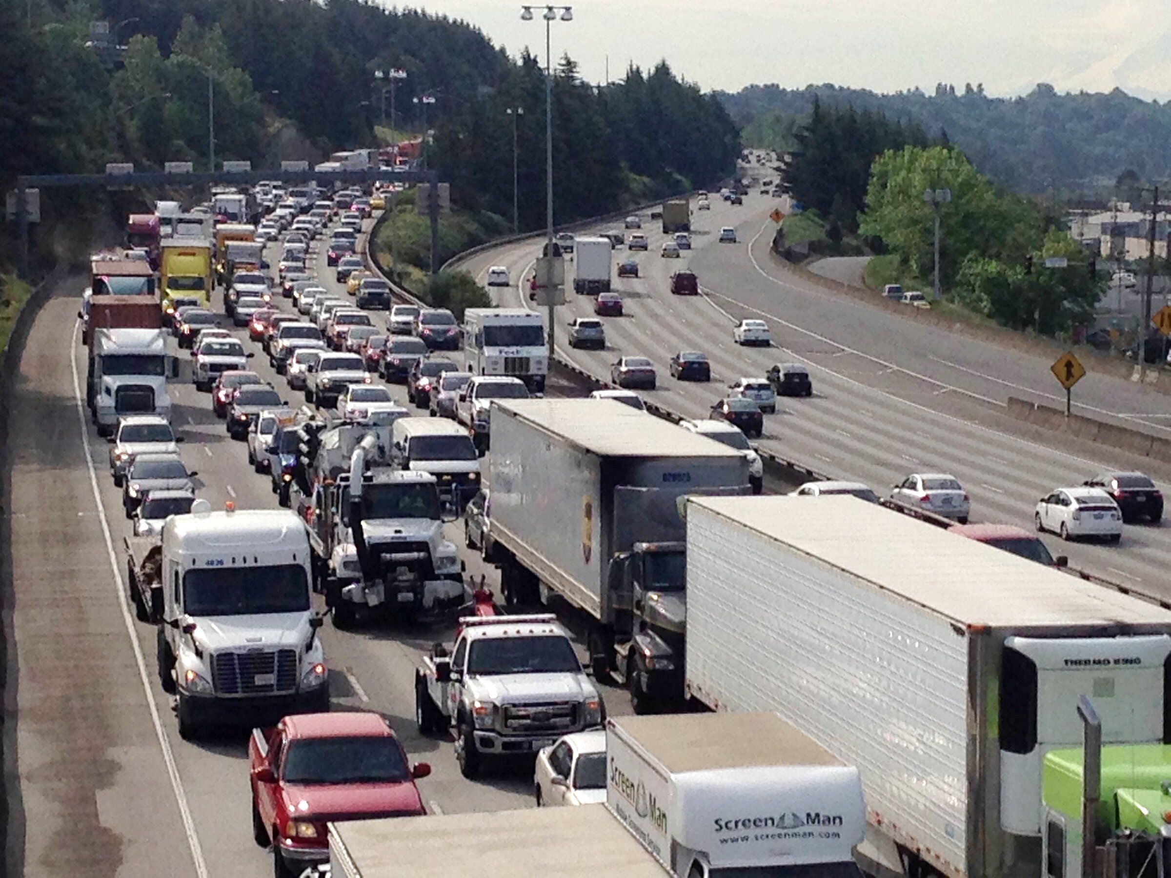 ギター SMART PEOPLE FACTORY INTERSTATE 5 DELAY Smart People Factory Interstate 5 Delay | eBay