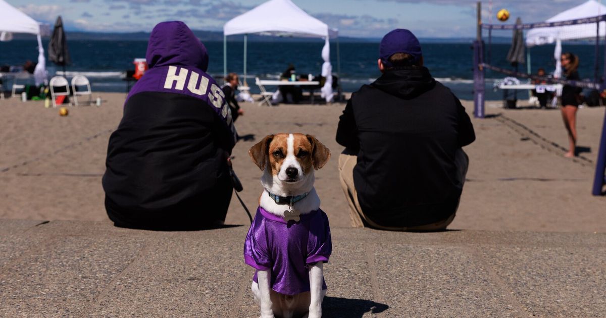 Gallery: Husky volleyball takes to the sand for the Alki Beach