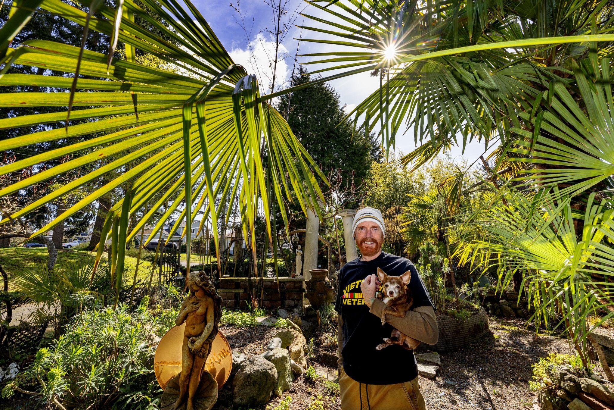 We're Northwest gardeners who can't help it: We plant palm trees. | The  Seattle Times