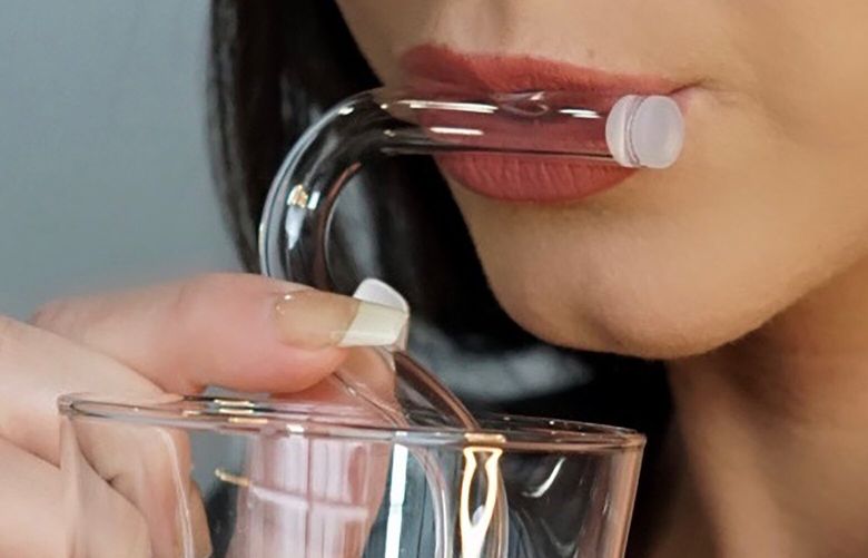 Lifestyle The Seattle Times