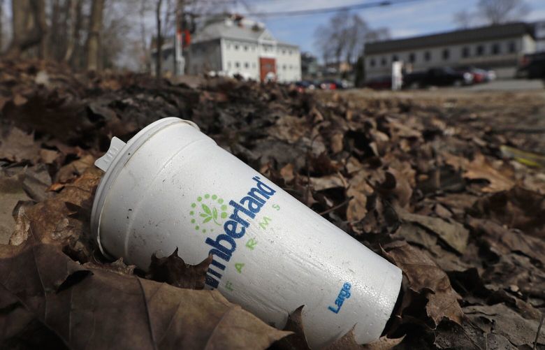 A coffee cup made from polystyrene foam, commonly known as Styrofoam, lies on the side of a road, Wednesday, May 1, 2019, in Augusta, Maine. Gov. Janet Mills signed a bill into law Tuesday, April 30 making Maine one of the first states to ban single-use containers made from polystyrene foam. (AP Photo/Robert F. Bukaty)